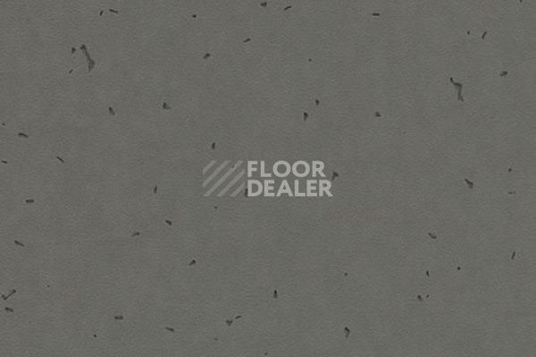 Линолеум Forbo Sphera Energetic 50215 ebony фото 1 | FLOORDEALER